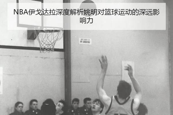 NBA伊戈达拉深度解析姚明对篮球运动的深远影响力