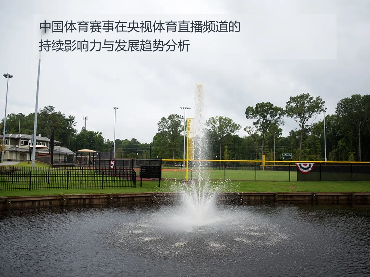 中国体育赛事在央视体育直播频道的持续影响力与发展趋势分析